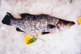 Pacific West Barramundi Fillets Portions Whole Bones
