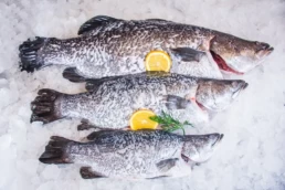 Pacific West Barramundi Fillets Portions Whole