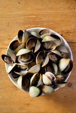Pacific West Cooked Mussels Clams