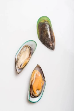 Pacific West Raw Mussels Singles
