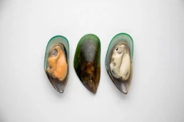 Pacific West Raw Mussels Talleys