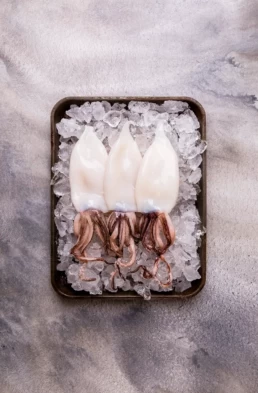 Pacific West Super Tender Squid Whole Baby Loligo Fresh